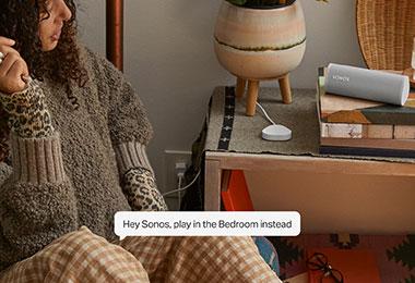 Sonos Voice Control