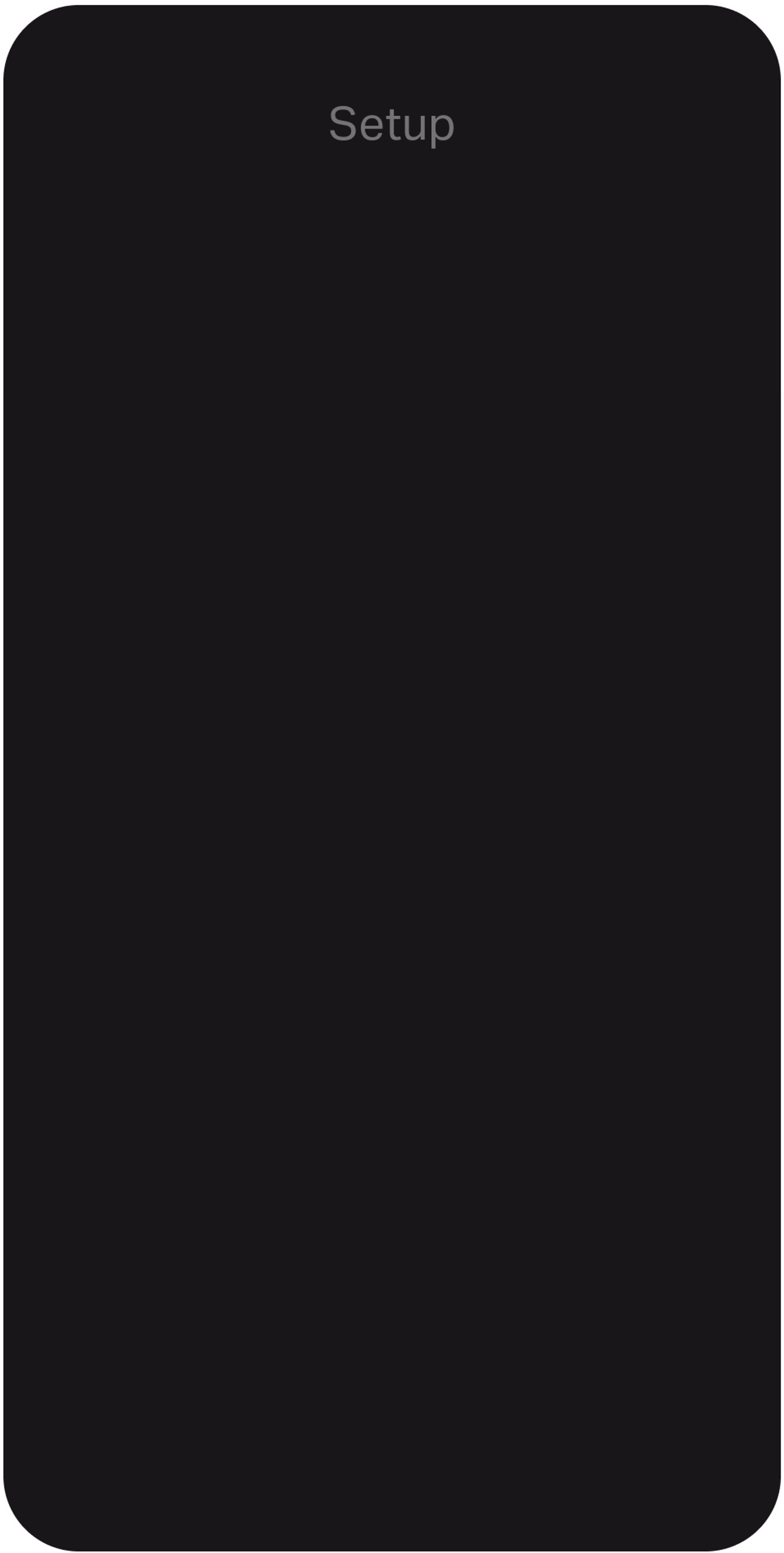 Blank iPhone setup