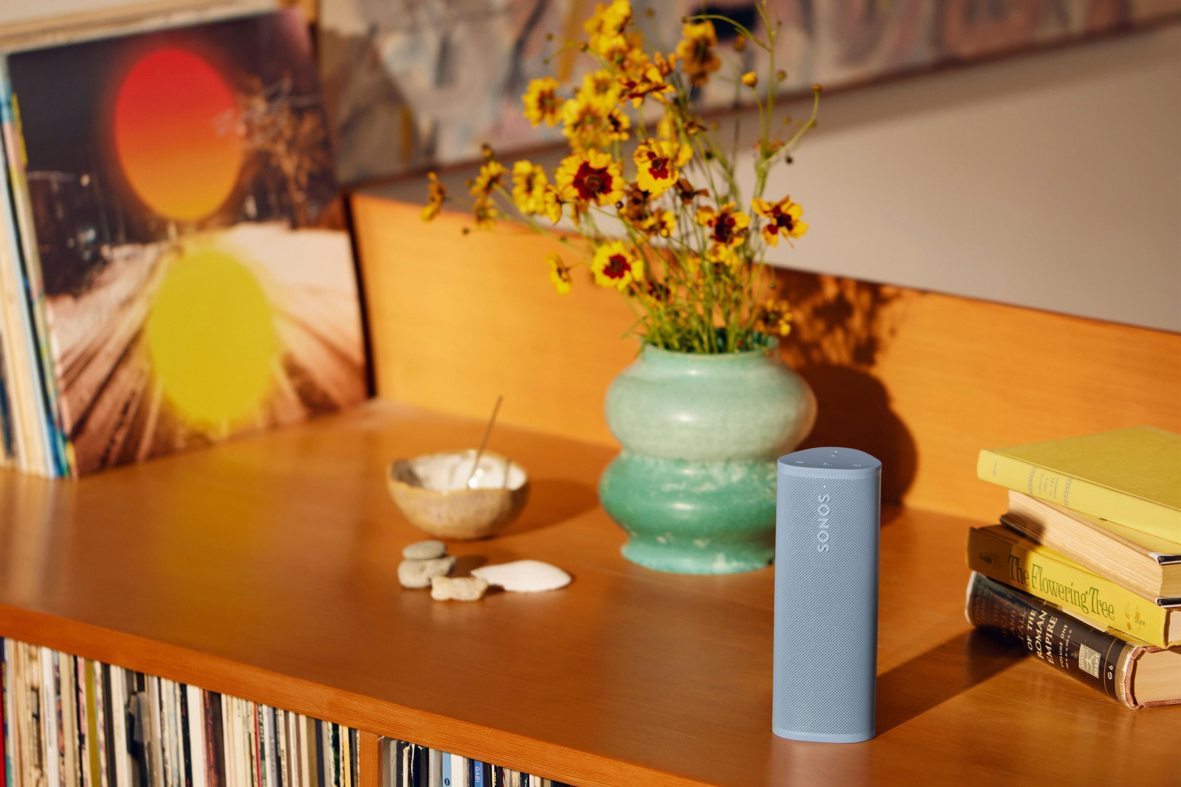 Roam 2 Wave on top of a bookshelf next to a flower vase