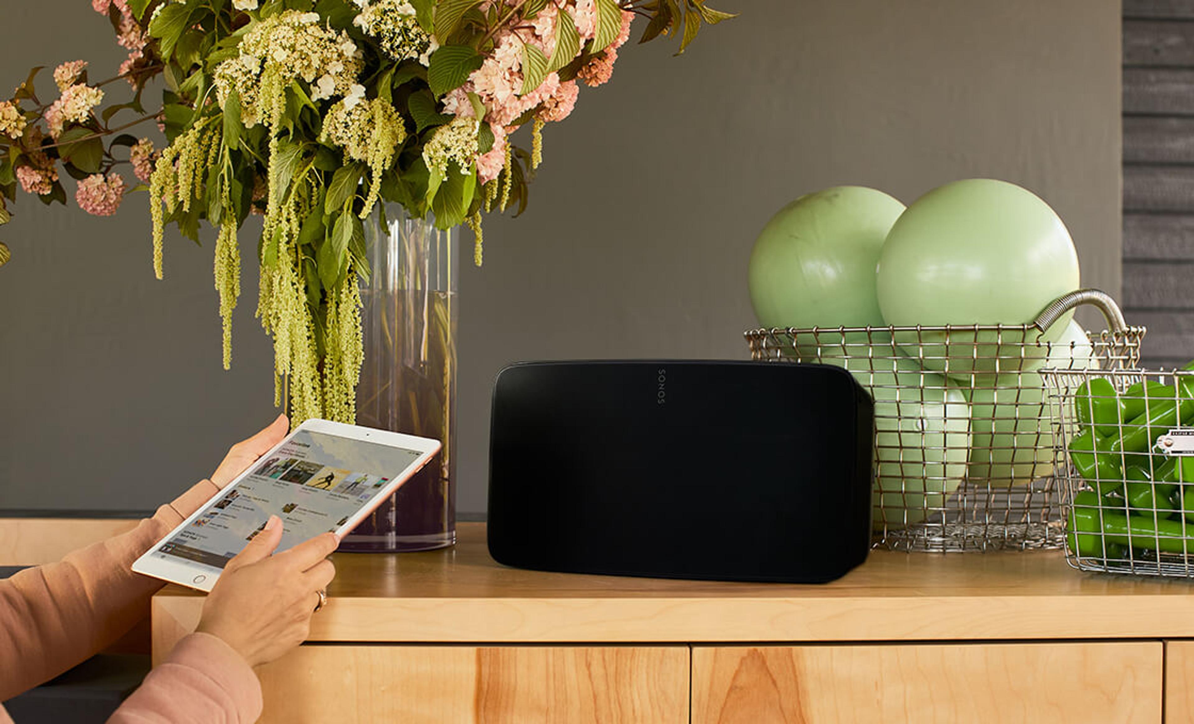 A Sonos One SL in a store